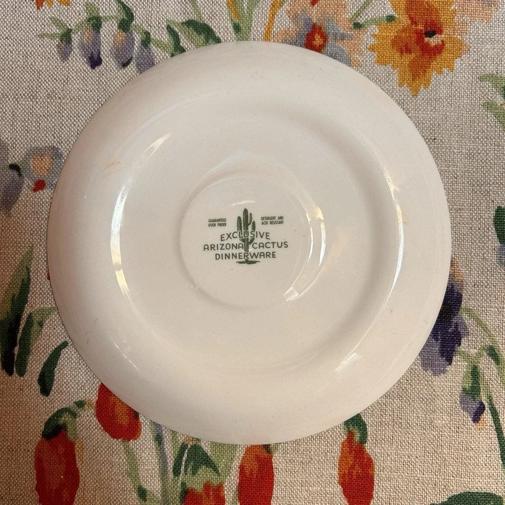 VTG Arizona Cactus Dinnerware Ocotillo Teacup Saucer Mid-Century Southwestern